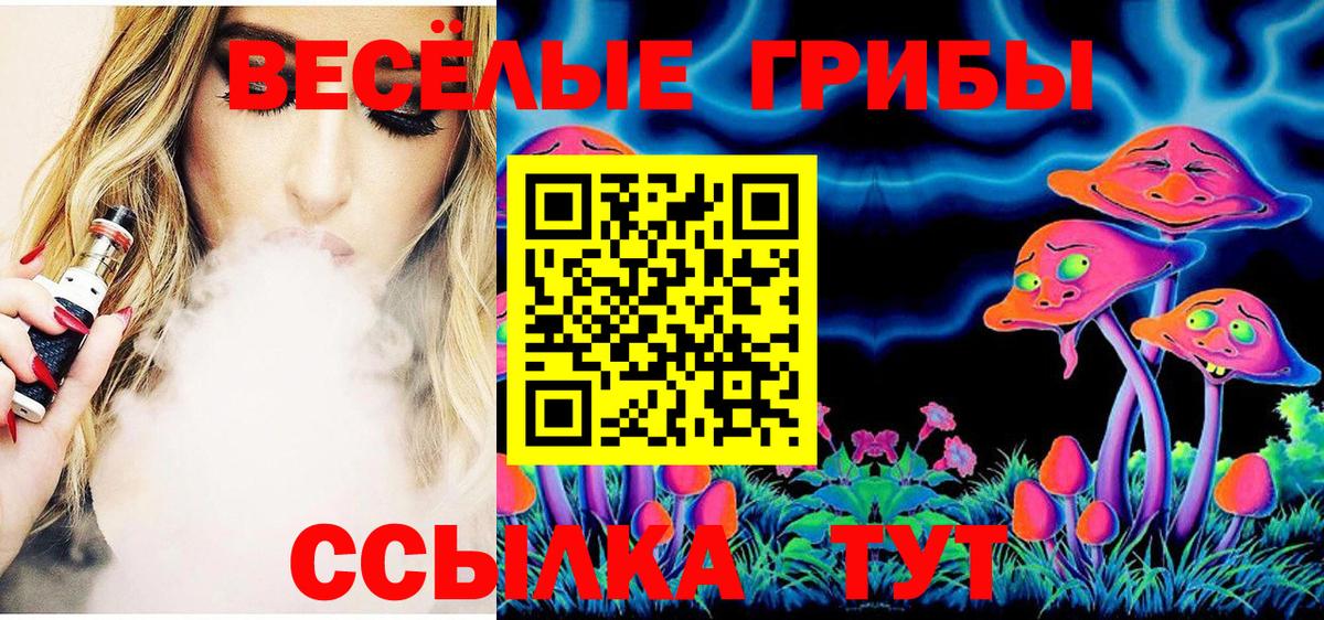 Псилоцибиновые грибы Cubensis  Кызыл 