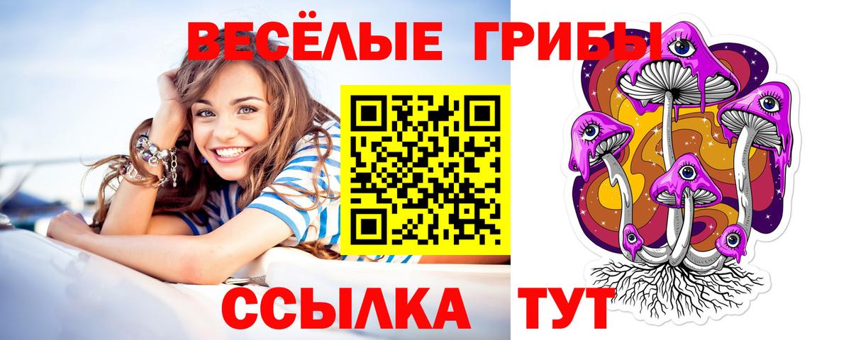 Галлюциногенные грибы прущие грибы  Вход с VPN  Кызыл  Галлюциногенные грибы мицелий 