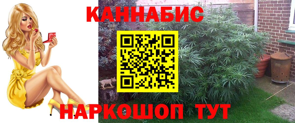 Каннабис семена  Бошки марихуана OG Kush  Кызыл  МАРИХУАНА план 